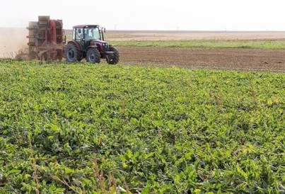 Tarımsal girdi fiyat endeksi rekor kırdı